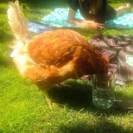 Sandino Summer Camp *