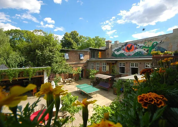 Auberge de jeunesse Sandino Summer Camp