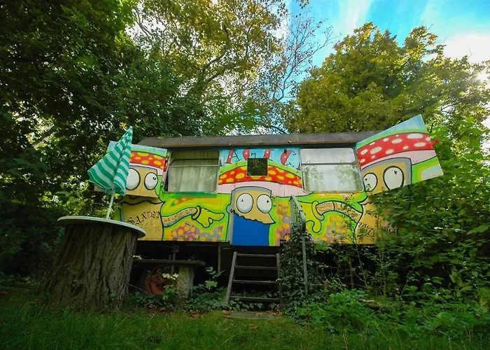 Sandino Summer Camp *