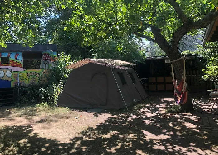 Sandino Summer Camp *