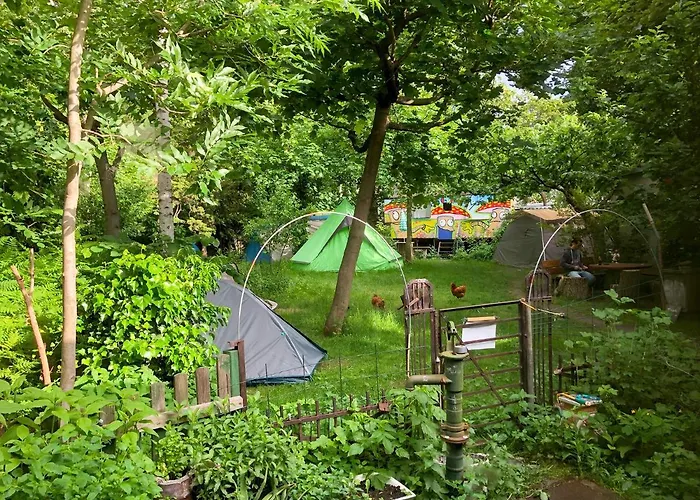 Sandino Summer Camp Хостел