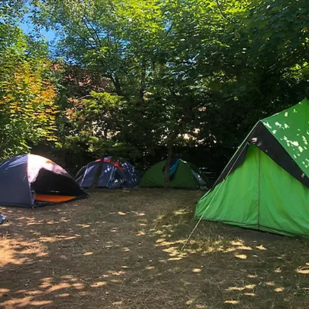 Sandino Summer Camp *
