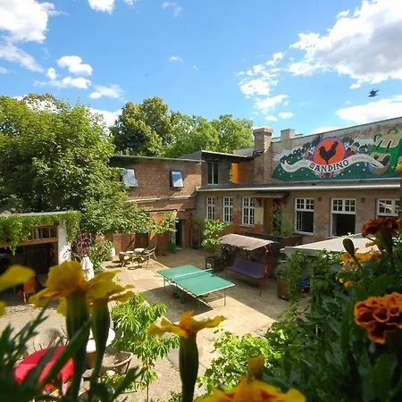 Hostel Sandino Summer Camp