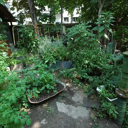 Sandino Summer Camp Hostel Berlin