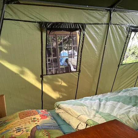 Hostel Sandino Summer Camp