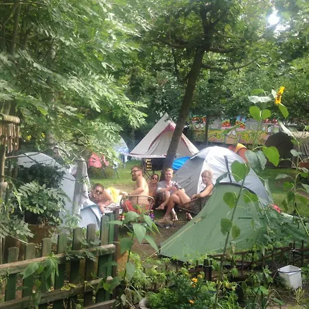Sandino Summer Camp