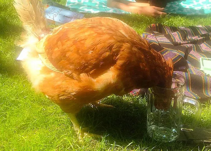 Sandino Summer Camp *