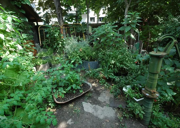 Sandino Summer Camp Hostel Berlin